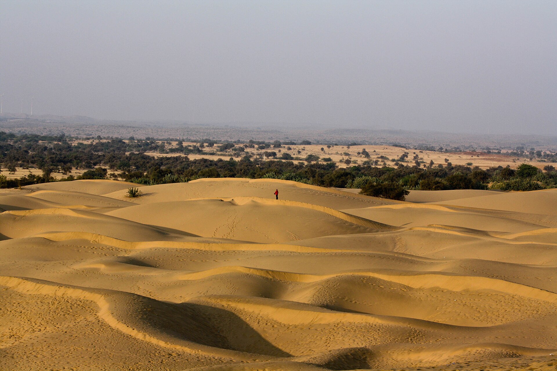 Thar Desert dunes, Rajasthan